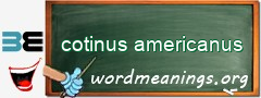 WordMeaning blackboard for cotinus americanus